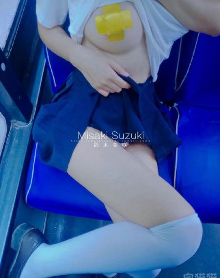国产锂电12v_DVD在线手机播放