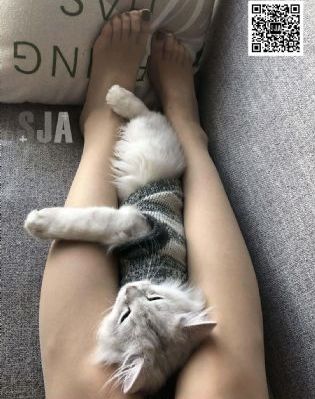 91视频网页地址_DVD免费在线观看